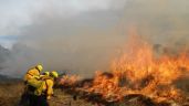 En Yucatán, incendios forestales consumieron más de mil hectáreas en 2022: Conafor