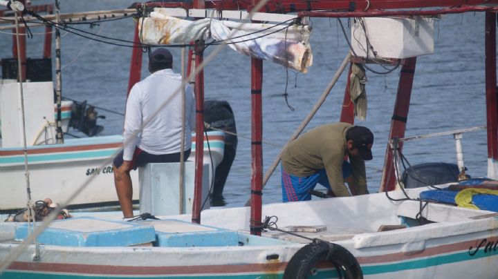 Pescadores de Chabihau ven redituable la captura de 'rubia'