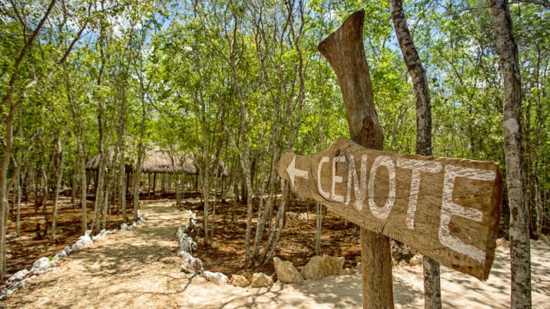 Este es el cenote que Kekén rellenó de manera ilegal en Yucatán