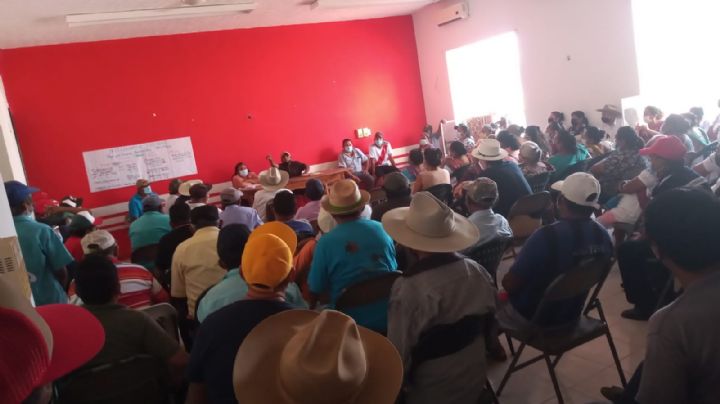 Grupo Boxito invade 150 hectáreas en Hecelchakán, acusa comisario