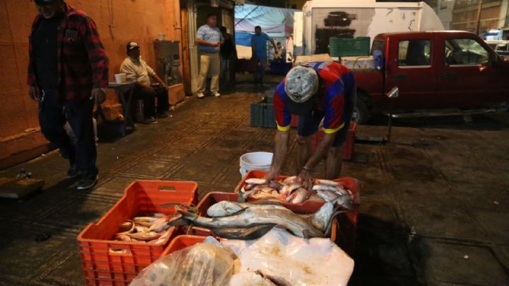 Veda de mero incrementa su precio en mercado de Mérida