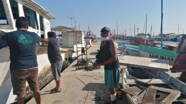 Pescadores de Progreso retomaron actividades después del Frente Frío