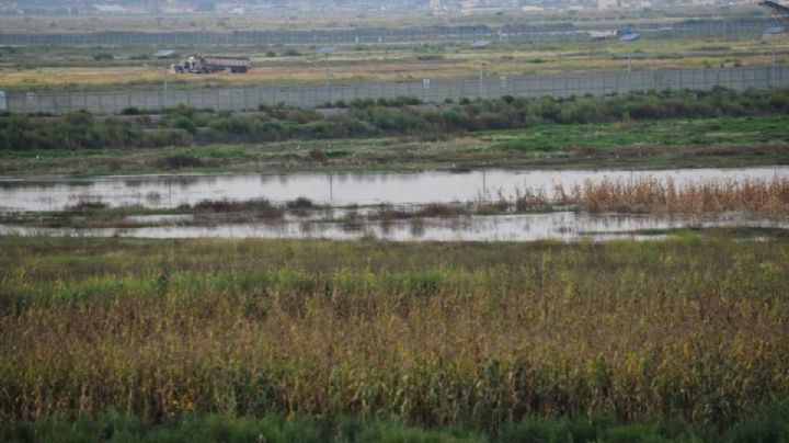 Decreto que declara área natural protegida al Lago de Texcoco: Estos son los beneficios
