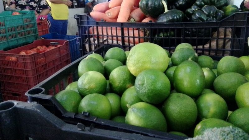 Comerciantes de Telchac Pueblo mantendrán el precio alto del limón