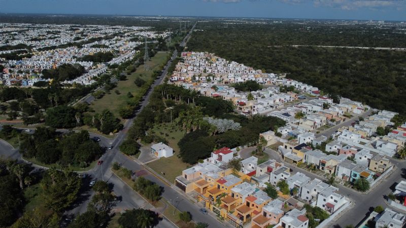 Lotes de inversión en Mérida, 'ciudades' en el monte: AMPI alerta fraude