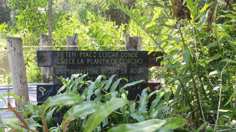 'Petec Mac', el sendero paradisíaco de Río Lagartos, Yucatán: FOTOS