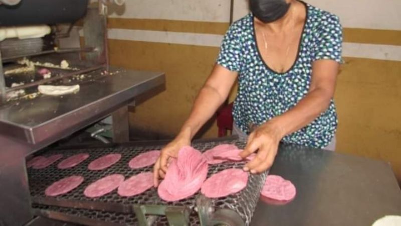Con tortillas color rosa, conmemoran el Día de la Mujer en Acanceh, Yucatán