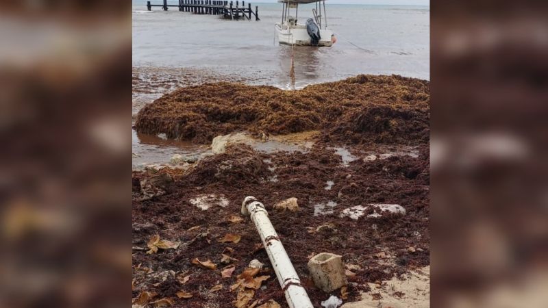 Se 'lava las manos': Aguakan culpa a CAPA por tubería en playa de la Rivera Maya