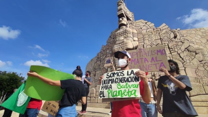 Agresiones contra ambientalistas: Estas son las comunidades con más casos en Yucatán