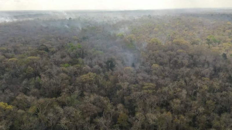 Incendio entre Campeche y Quintana Roo, sin control: 63 brigadistas trabajan para sofocarlo