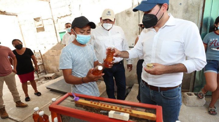 Mauricio Vila visita a joven apicultor de 21 años en Tunkás; le darán material para su taller