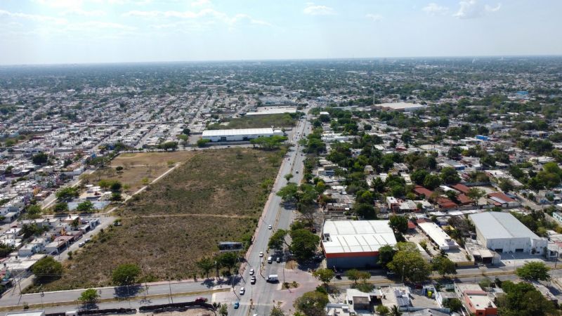 En 30 años, ejidos de 11 municipios de Yucatán perdieron 40% de sus tierras