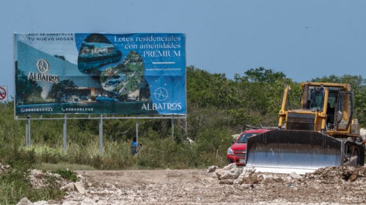 Urge dar a conocer desventajas en la compra de lotes de inversión en Yucatán: CMIC