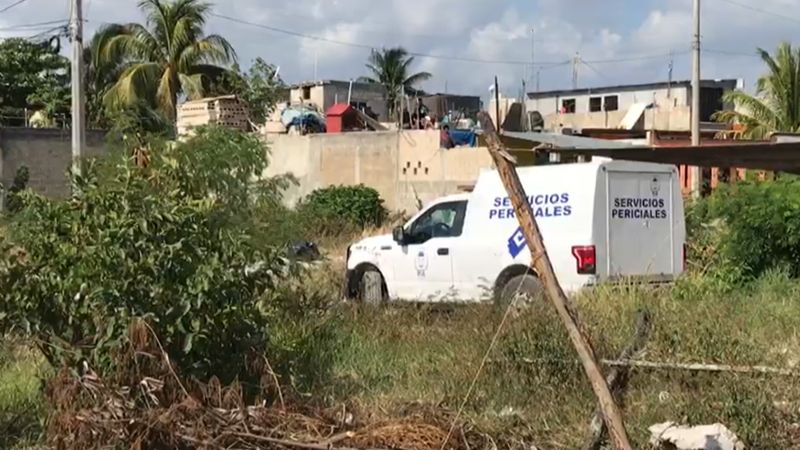 Hallan restos humanos dentro de una bolsa en la Región 236 de Cancún: VIDEO