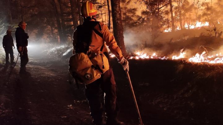 Incendios forestales en Campeche, los más graves de México; han 'devorado' más de 3 mil hectáreas