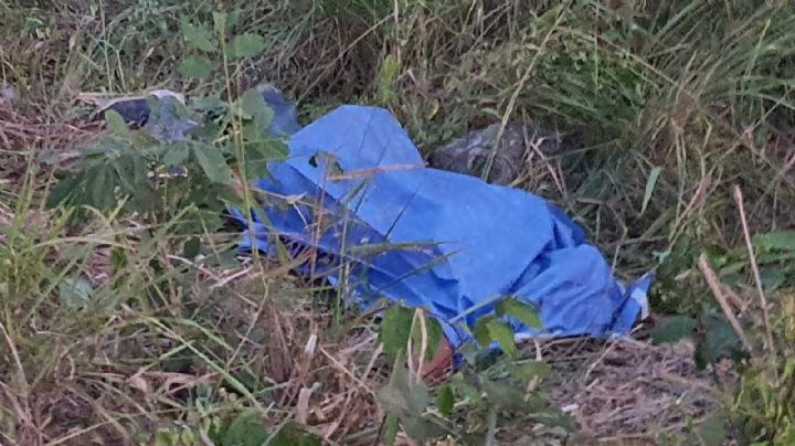 Motociclista muere en la carretera Ucum-La Unión, al Sur de Quintana Roo