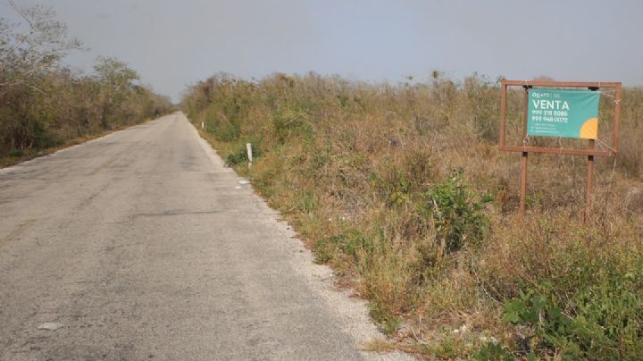 Otra víctima de loteros en Yucatán; pagó 100 mp por dos terrenos y sólo le quieren devolver 6 mp
