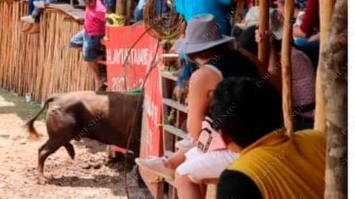 Toro se escapa de una corrida en la Feria de Chumayel: VIDEO