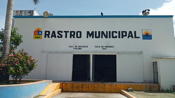 Empleados del Rastro Municipal de Cozumel, sin uniformes y material para trabajar