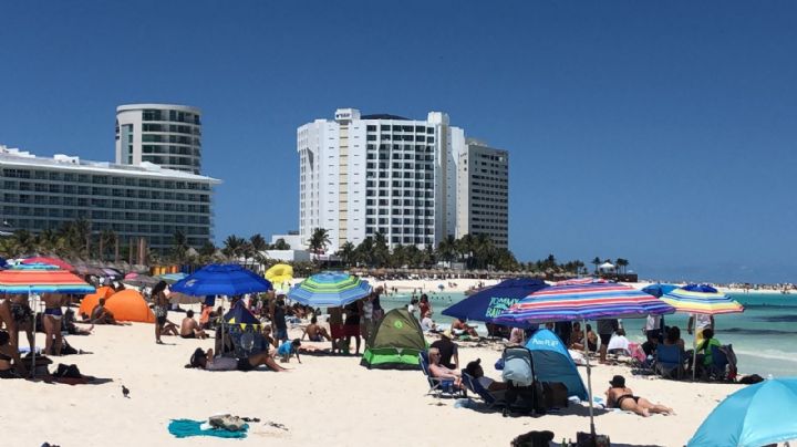 Turistas 'conviven' con el sargazo en la Zona Hotelera de Cancún: EN VIVO