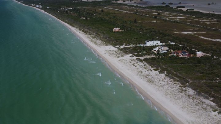 Península de Yucatán, último lugar en aprovechamiento de recursos naturales: IMCO