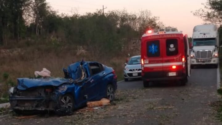 Mujer muere tras ser aplastada por un árbol en la vía Mérida-Valladolid