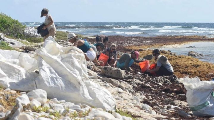 Retiran más de 600 kilos de basura internacional en Mahahual, Quintana Roo