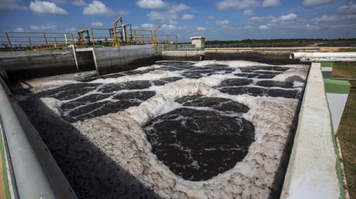 Granja porcícola de Homún ocultó información sobre contaminación del agua