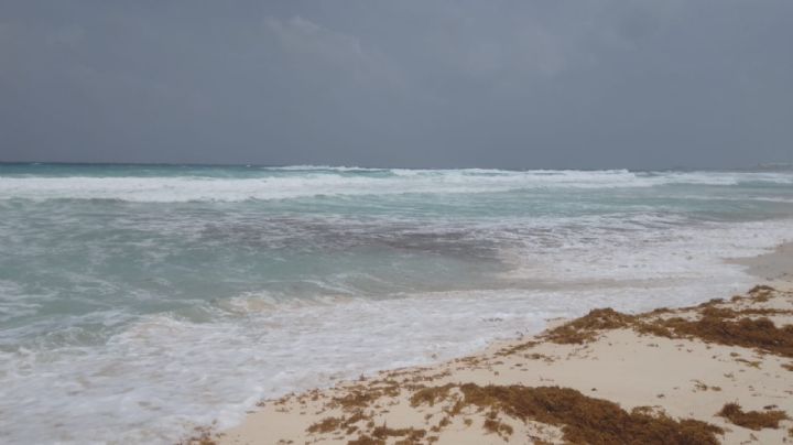 Onda Tropical ahuyenta a bañistas en Playa Delfines de Cancún: EN VIVO