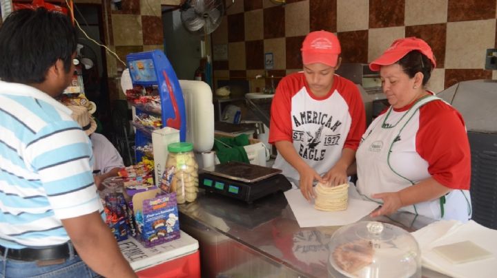 Precio de la tortilla en Campeche alcanza los 21.75 pesos; es una de las más caras en México