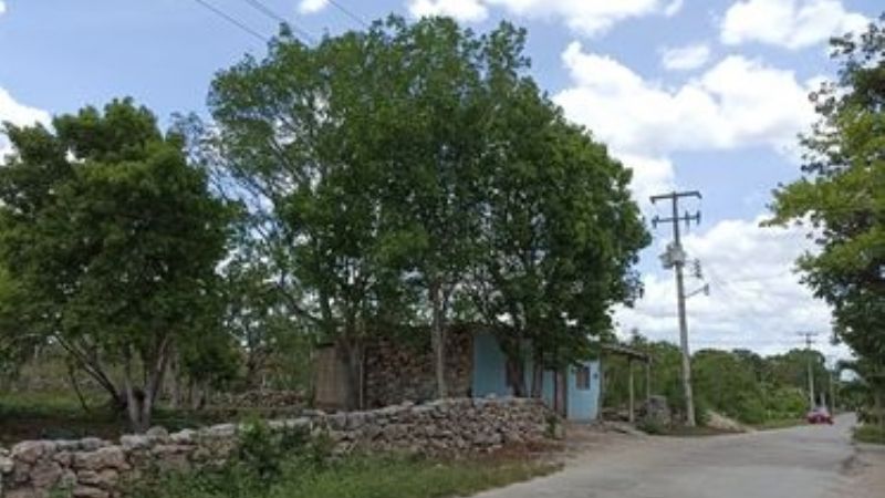 CFE deja sin luz a vecinos de Tekal de Venegas por cuatro días