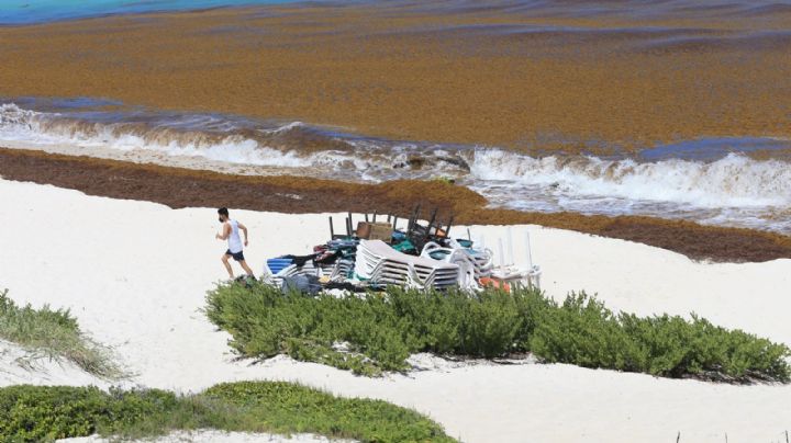 Estas son las playas más limpias de sargazo en Quintana Roo este 26 de mayo