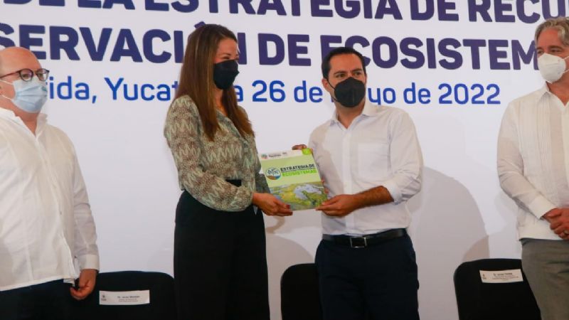 Mauricio Vila anuncia "enorme limpieza" en Yucatán