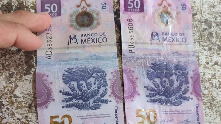 Alerta por circulación de billetes falsos de 50 pesos en Campeche