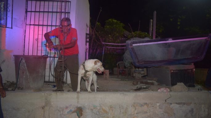 Perro pitbull salva a su dueño tras ser apuñalado en Progreso