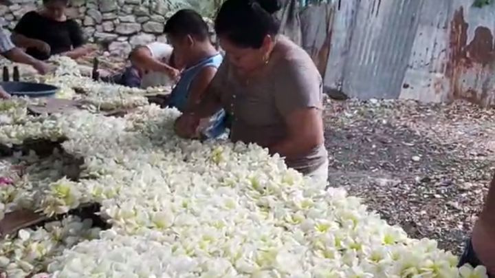 Preparan altar de la Virgen de la Asunción de Tetiz con cientos de flores: VIDEO