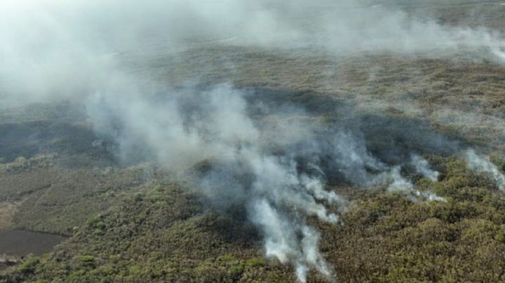 Causas de los incendios en zonas forestales de Yucatán, desconocidas: Conafor