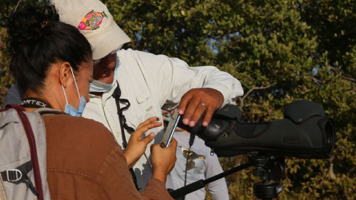 Crean el Festival de las Aves en Yucatán dentro de reservas protegidas