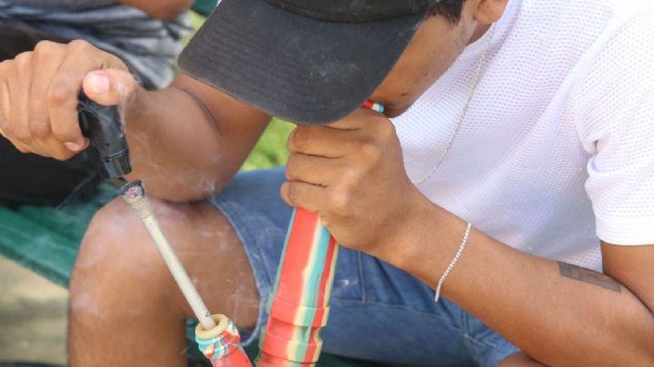 Activistas promueven uso recreativo de marihuana en Mérida