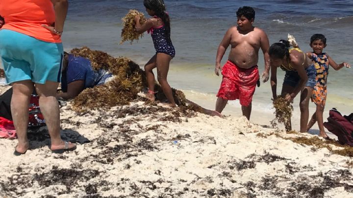 Sargazo no impide que bañistas disfruten de Playa Gaviotas en Cancún: VIDEO