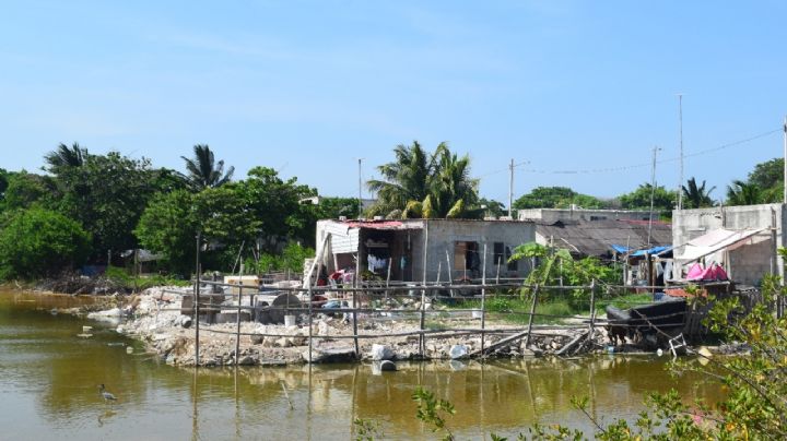 Profepa retirará a más de 4 mil familias de viviendas ilegales en la zona del manglar de Chicxulub