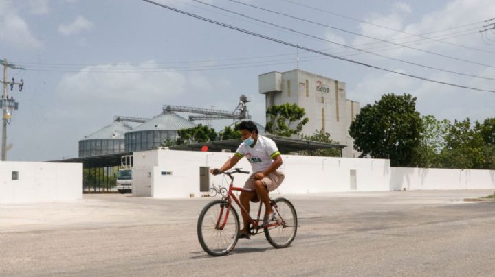 Kaki y Kekén, empresas acusadas de contaminación en Yucatán, beneficiadas con apoyos federales