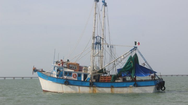 Pescadores de Ciudad del Carmen adeudan 378 mil pesos por uso de muelles del API