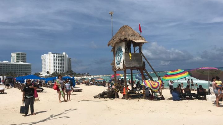 Cerca de 500 bañistas disfrutan del mar con poco sargazo en playas de Cancún: EN VIVO