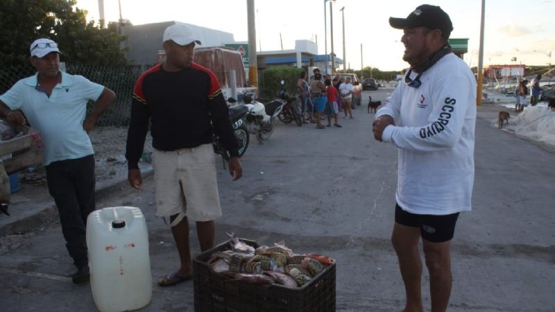 Pescadores de Yucatán se preparan para el inicio de la temporada de langosta