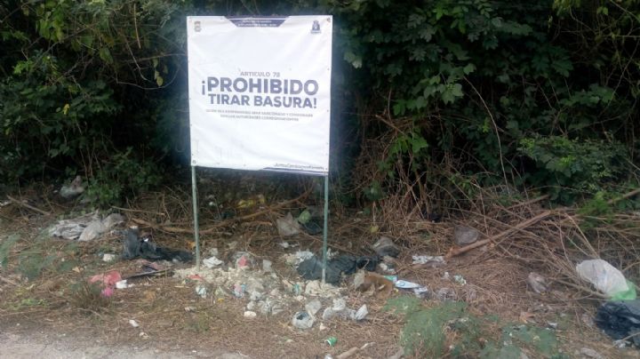 Municipios de Yucatán, repletos de basura; alcaldes ignoran denuncias de los pobladores