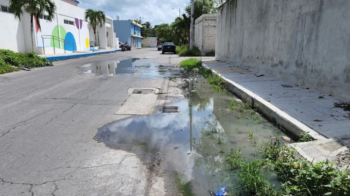 Aguas negras causan enfermedad en menores de una guardería de Cozumel, acusan