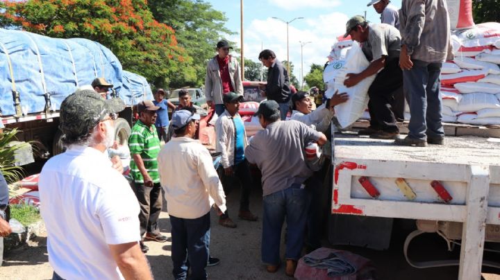 Campesinos acusan al Gobierno de Layda  Sansores de excluirlos en la entrega de fertilizantes