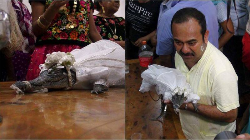 Alcalde se casa con una lagarta en medio de una gran fiesta en Oaxaca