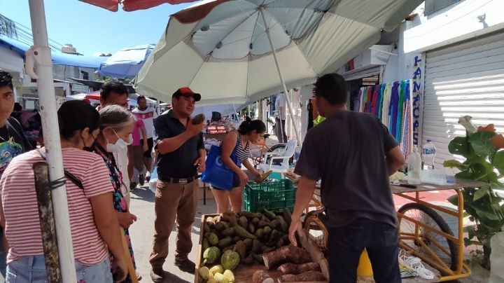 Comercio chiapaneco aumenta en tianguis de Luis Donaldo Colosio en Playa del Carmen
